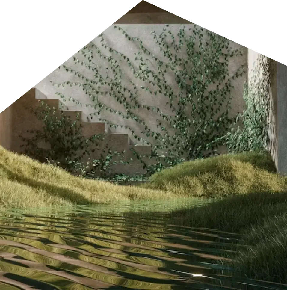 A shallow pool in a courtyard, with ivy climbing the concrete wall behind
